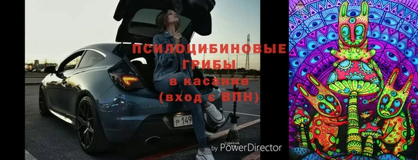 гашик Верхний Тагил