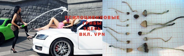прущая мука Богородск