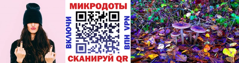 сколько стоит  Венёв  Псилоцибиновые грибы GOLDEN TEACHER 